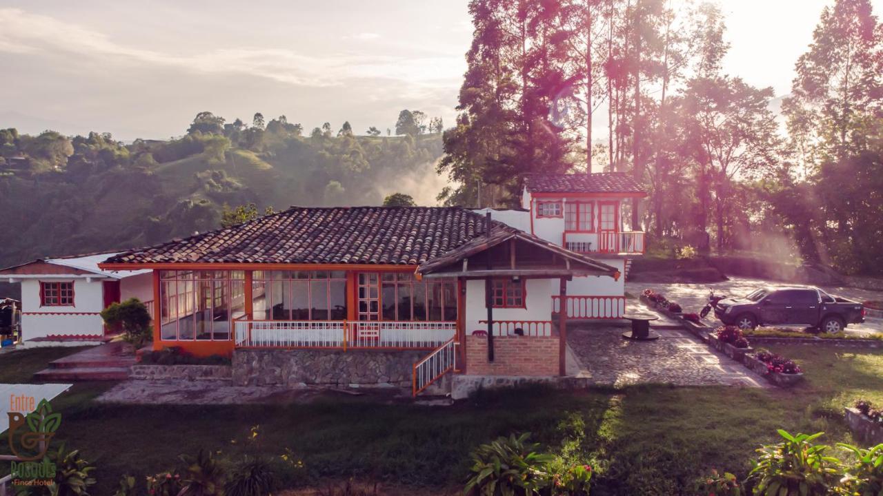 Ecohotel Entrebosques Salento Luaran gambar